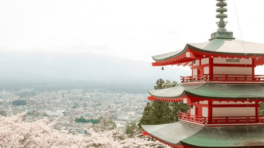 From Tokyo: Mount Fuji And Hakone Private Full Day Trip - Lake Kawaguchi, Ropeway, and Oishi Park: the Fuji-and-water triangle