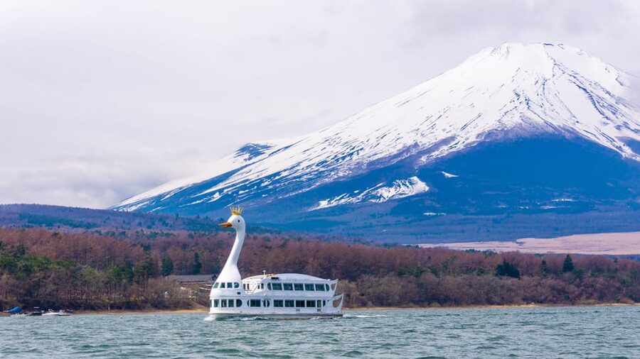 From Tokyo: Mount Fuji, Cruise and Sake Tour - From Shinjuku to Fuji, a day that actually holds together