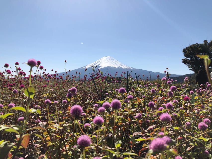 From Tokyo: Mount Fuji, Cruise and Sake Tour - Mount Fuji 5th Station at 2300m: the climb is the point, not the summit