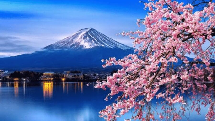 From Tokyo: Mount Fuji Customize Private Tour English Guide - Gotemba Premium Outlets: A Useful Late-Day Option