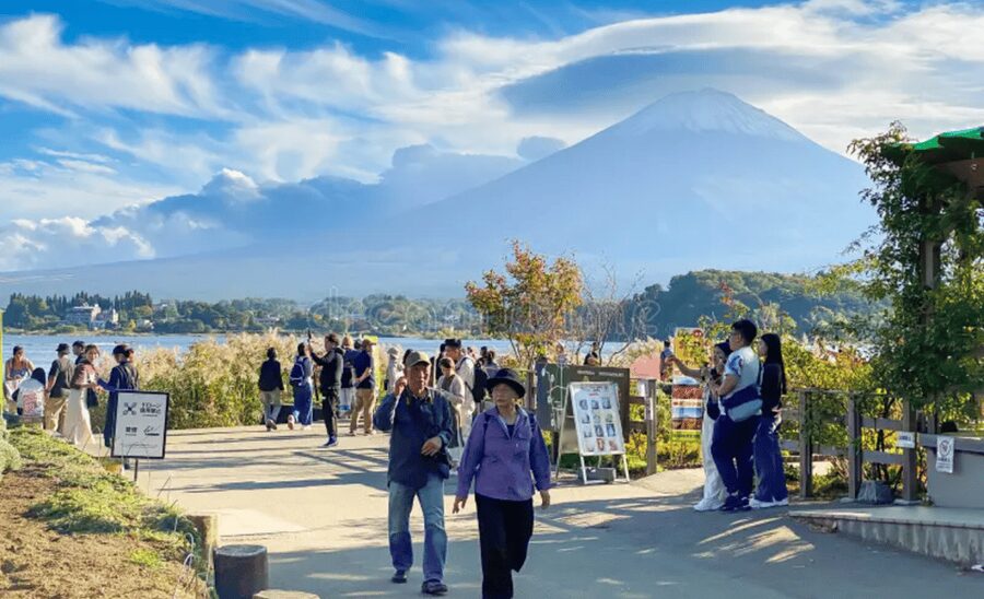 From Tokyo: Mount Fuji Customize Private Tour English Guide - Chureito Pagoda and Kachi Kachi Ropeway: Two Ways to Frame Fuji