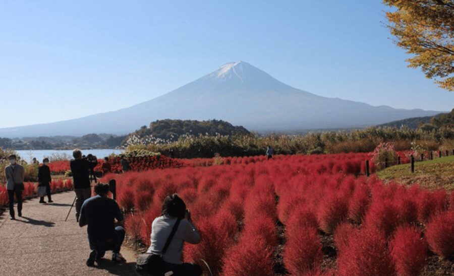 From Tokyo: Mount Fuji Customize Private Tour English Guide - Oshino Hakkai and Kitaguchi-hongu Fuji Sengen Shrine: The Calm Side of Fuji Country