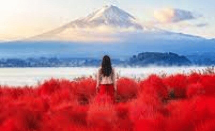 From Tokyo: Mount Fuji Customize Private Tour English Guide - Oshino Park and Lake Kawaguchi: When You Want the Best Lake View