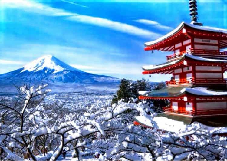 From Tokyo: Mount Fuji Full Customized Tour English Guide - Key points at a glance