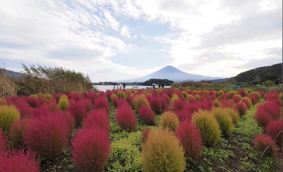 From Tokyo: Mount Fuji Full Customized Tour English Guide - Lake Kawaguchiko: speed boat, ropeway, or cruise time