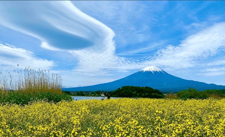 From Tokyo: Mount Fuji Full Day Customizable Private Tour - Who this tour fits best (and who should think twice)