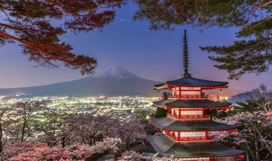 From Tokyo: Mount Fuji Full Day Customizable Private Tour - The value math: private for up to 6 people