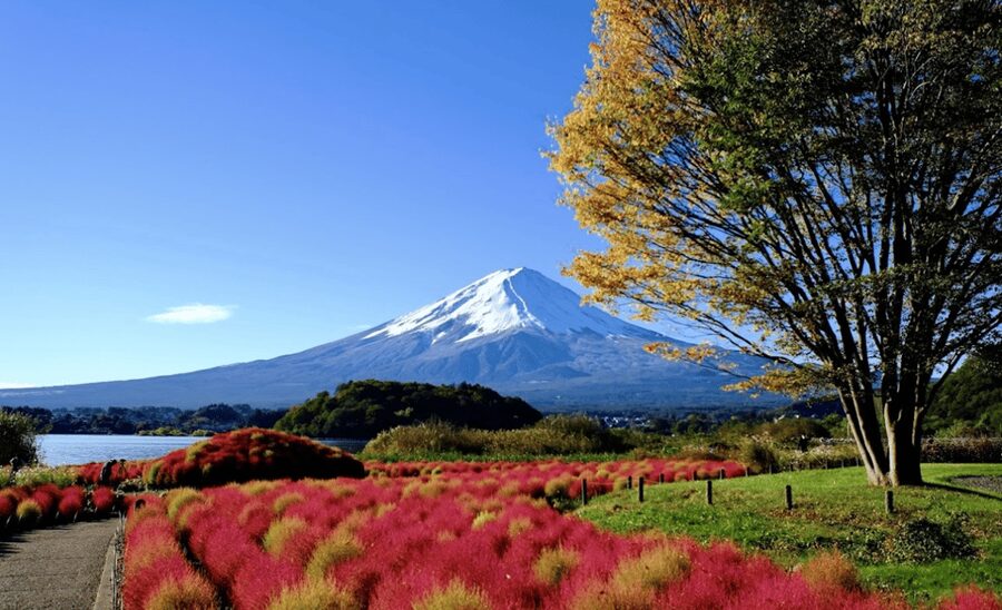 From Tokyo: Mount Fuji Full Day Customizable Private Tour - Oshino to Hakone: shifting from Fuji serenity to volcanic drama