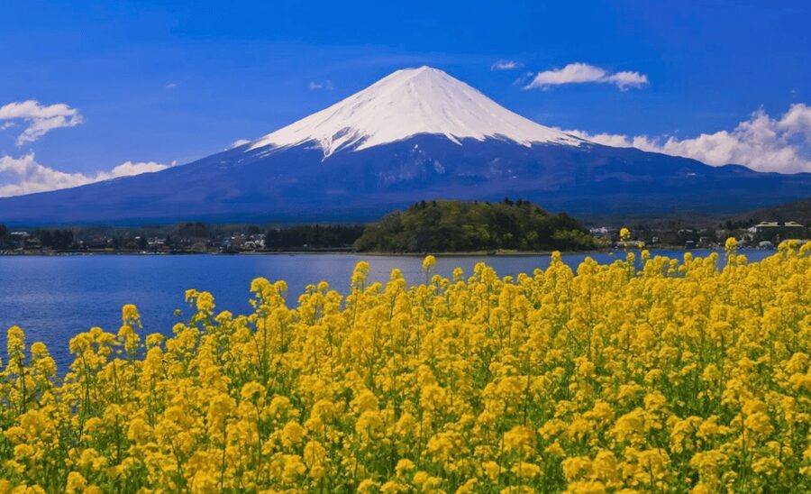 From Tokyo: Mount Fuji Full Day Customizable Private Tour - Gotemba Premium Outlets: the practical payoff