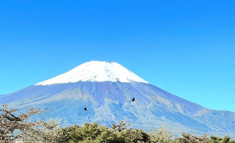 From Tokyo: Mount Fuji Full Day Customizable Private Tour - Tickets, fees, and what you should actually budget