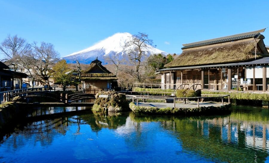 From Tokyo: Mount Fuji Full Day Customizable Private Tour - Guide energy and communication, what the names hint at