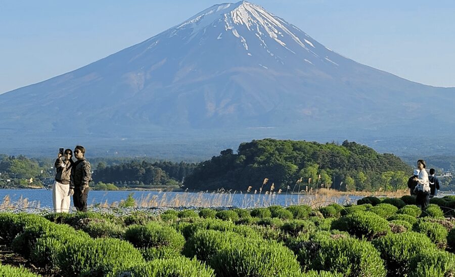 From Tokyo: Mount Fuji Full Day Customizable Private Tour - Mt. Fuji 5th Station: the big payoff, plus a key seasonal limit