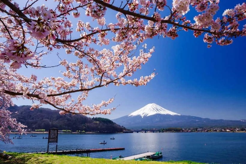 From Tokyo: Mount Fuji Full Day Private Customizable Tour - Key things to notice before you go