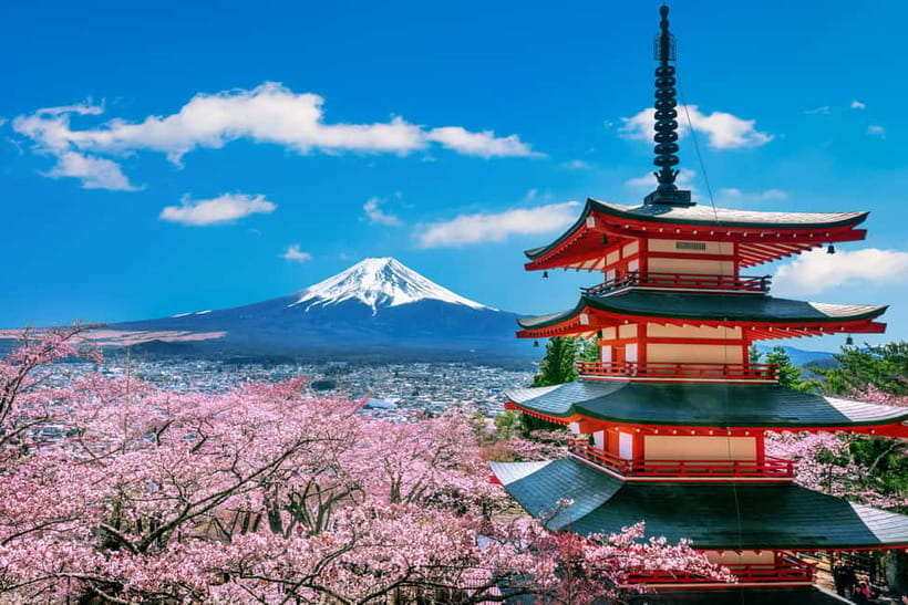 From Tokyo: Mount Fuji Full Day Private Customizable Tour - Lake Kawaguchiko and Oishi Park: where Mt. Fuji reflection becomes your whole vibe