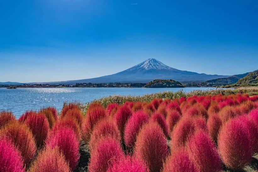 From Tokyo: Mount Fuji Full Day Private Customizable Tour - The customization that actually changes your day (not just the checklist)