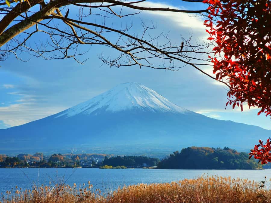 From Tokyo: Mount Fuji Full-Day Private Tour (Customizable) - Value check: $390 per group up to 6, and why private can be fair