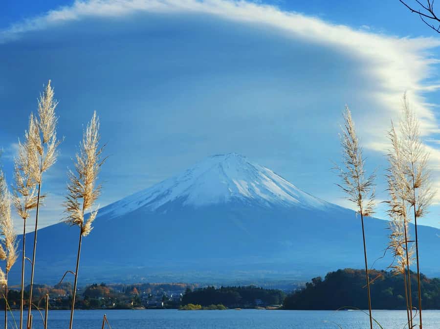 From Tokyo: Mount Fuji Full-Day Private Tour (Customizable) - Chureito Pagoda at Arakurayama Sengen Park: the red, the steps, the payoff