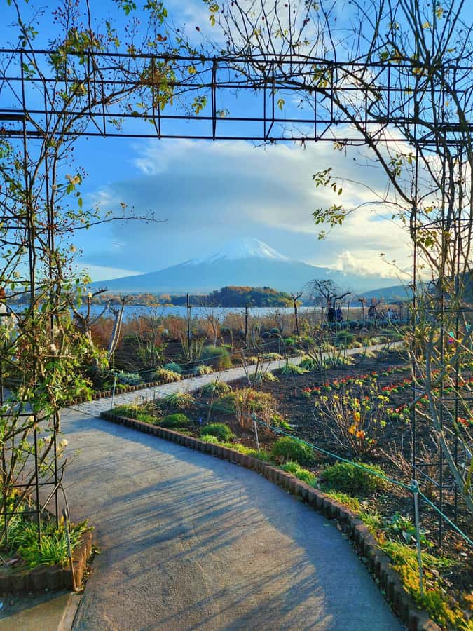 From Tokyo: Mount Fuji Full-Day Private Tour (Customizable) - Oshino Hakkai village: small ponds, big local feel