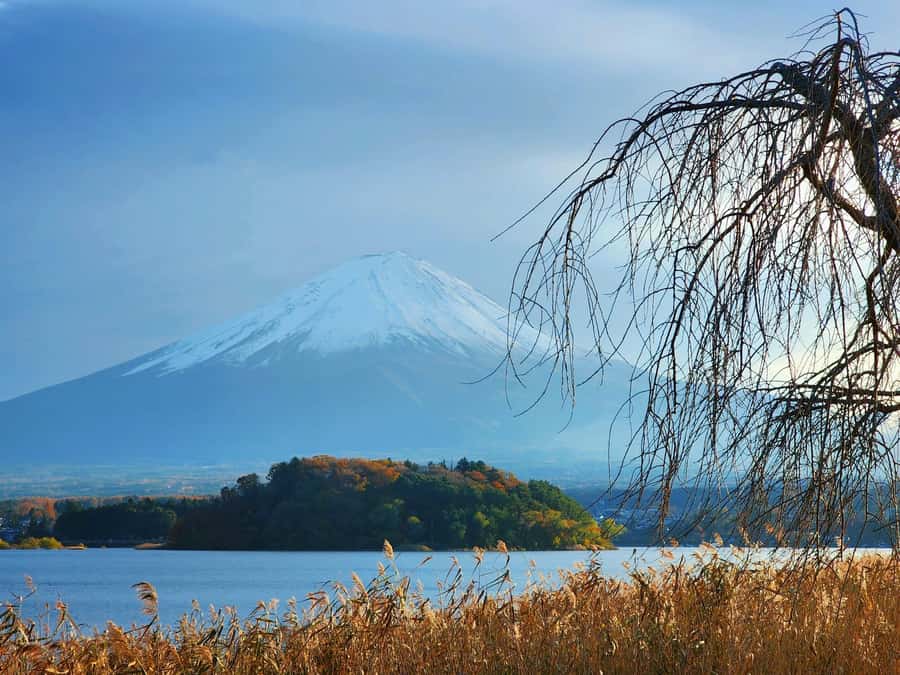 From Tokyo: Mount Fuji Full-Day Private Tour (Customizable) - What’s included (and why it matters for a day trip)