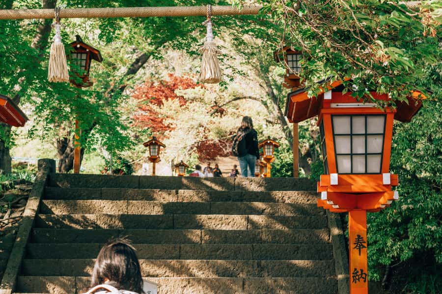 From Tokyo: Mount Fuji Full-Day Private Tour (Customizable) - Driver communication and how guides shape the day