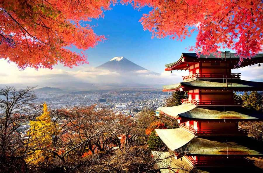 From Tokyo: Mount Fuji Full Day Private Tour English Guide - Key highlights worth the hype