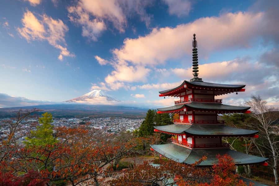 From Tokyo: Mount Fuji Full Day Private Tour English Guide - Private Mount Fuji Day Trips, in the real world