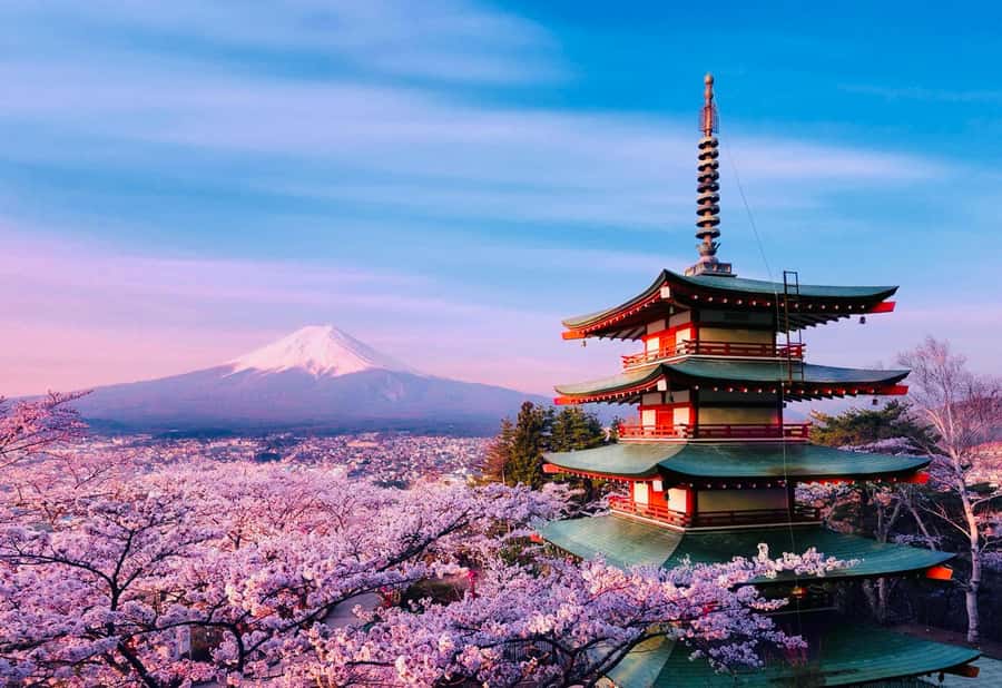 From Tokyo: Mount Fuji Full Day Private Tour English Guide - Oshino Hakkai ponds, calm walking and Fuji reflections