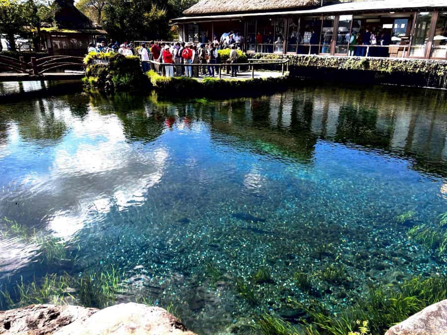 From Tokyo: Mount Fuji Full Day Private Tour English Guide - Lake Kawaguchi and Oishi Park, where the lake does the work