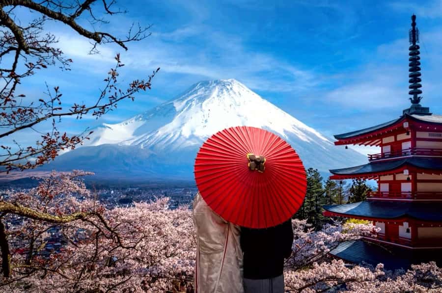 From Tokyo: Mount Fuji Full Day Private Tour English Guide - Weather and timing, the real skill behind a good guide