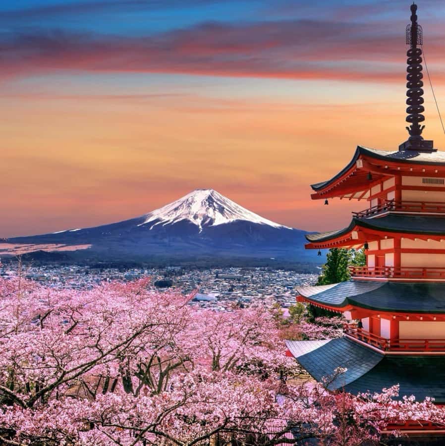 From Tokyo: Mount Fuji Full Day Private Tour English Guide - Custom itinerary, from lunch to detours