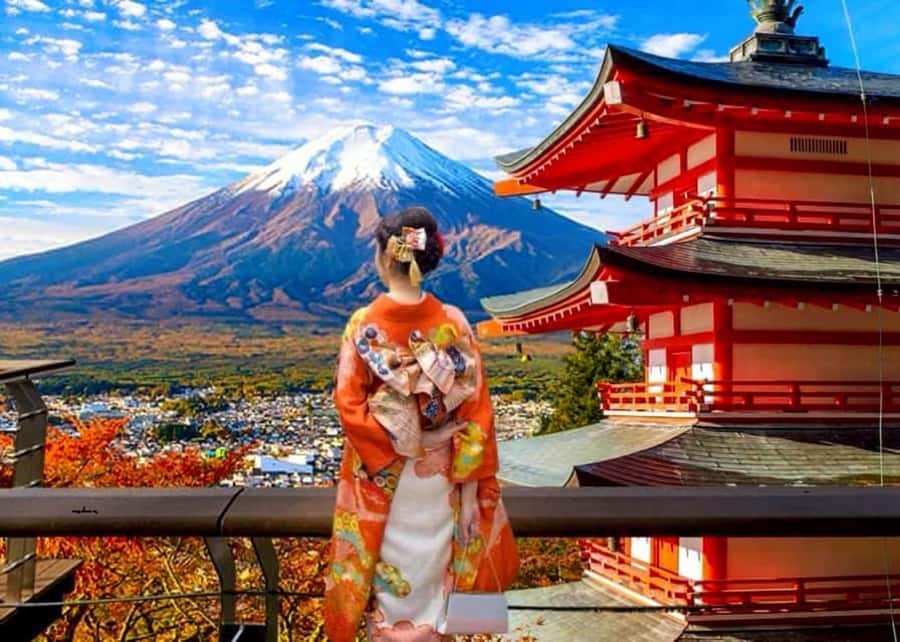 From Tokyo: Mount Fuji Full Day Private Tour English Guide - Tokyo pickup to Fuji region, comfort beats stress