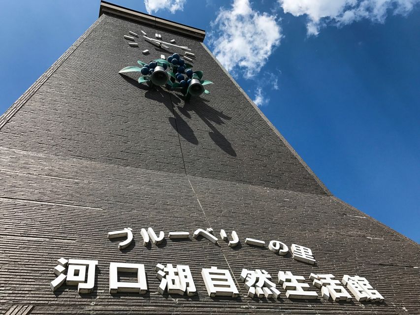 From Tokyo: Mount Fuji Full-Day Sightseeing Trip - Who This Tour Suits Best, and Who Might Feel Cramped