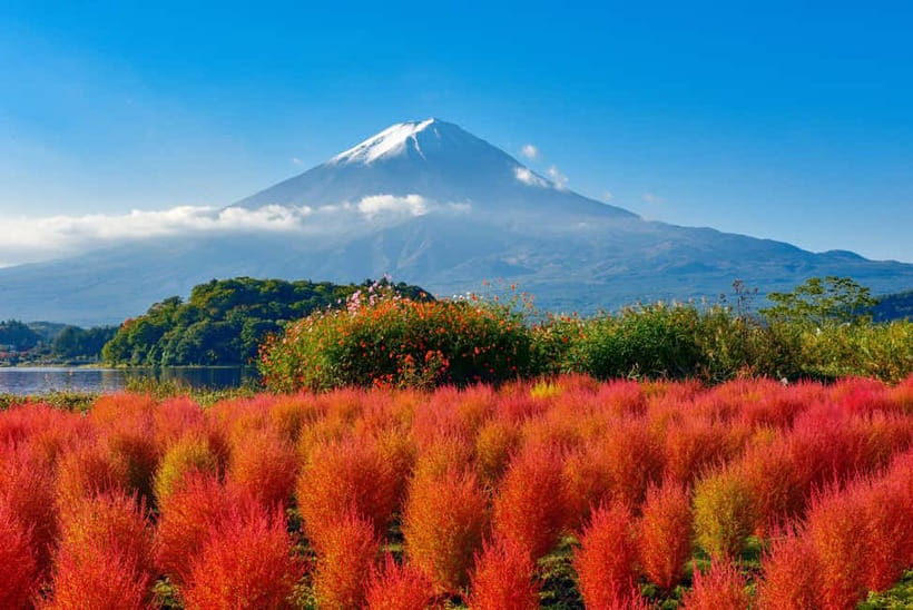 From Tokyo: Mount Fuji Full-Day Sightseeing Trip - Arakurayama Sengen Park and Chureito Pagoda: The Fuji View That Everyone Wants