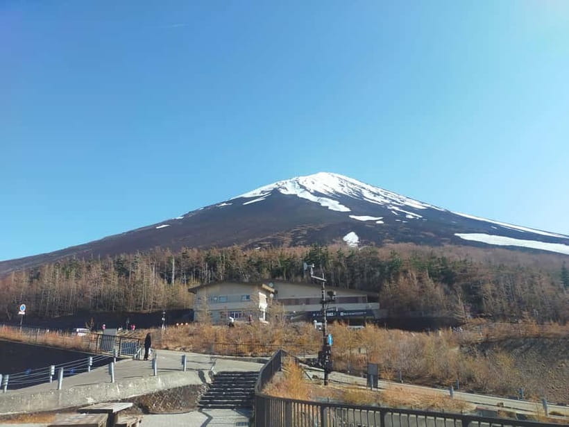 From Tokyo: Mount Fuji Full-Day Sightseeing Trip - Price and Value: What $68 Buys You in Fuji Time