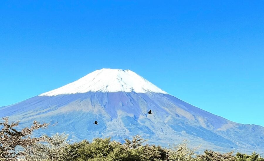 From Tokyo:Mount Fuji&Hakone Customize Full Day Private Tour - Stop 3: Lake Kawaguchi for the Classic Fuji Pairing
