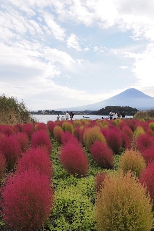 From Tokyo:Mount Fuji&Hakone Customize Full Day Private Tour - Stop 4: Oishi Park for Fuji Angles With Breathing Room