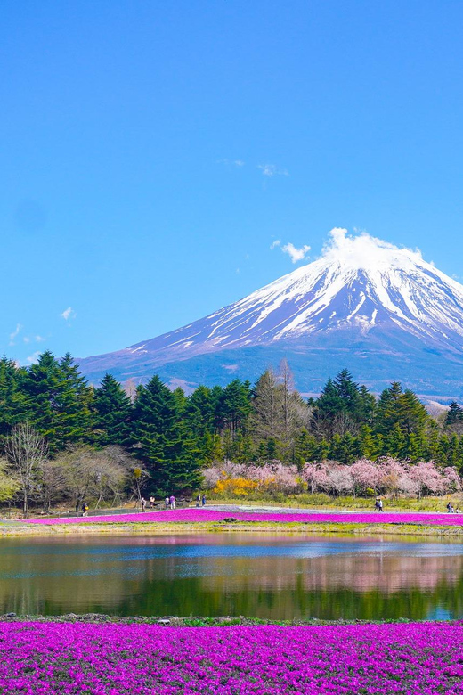 From Tokyo: Mount Fuji & Hakone Customize Private Day Tour - Key things to know before you go