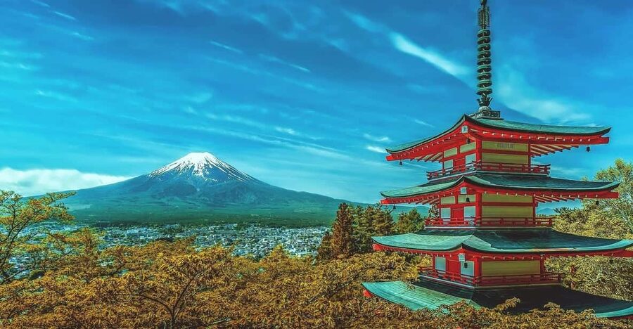 From Tokyo: Mount Fuji & Hakone Customize Private Day Tour - What is included, what costs extra, and what you should budget