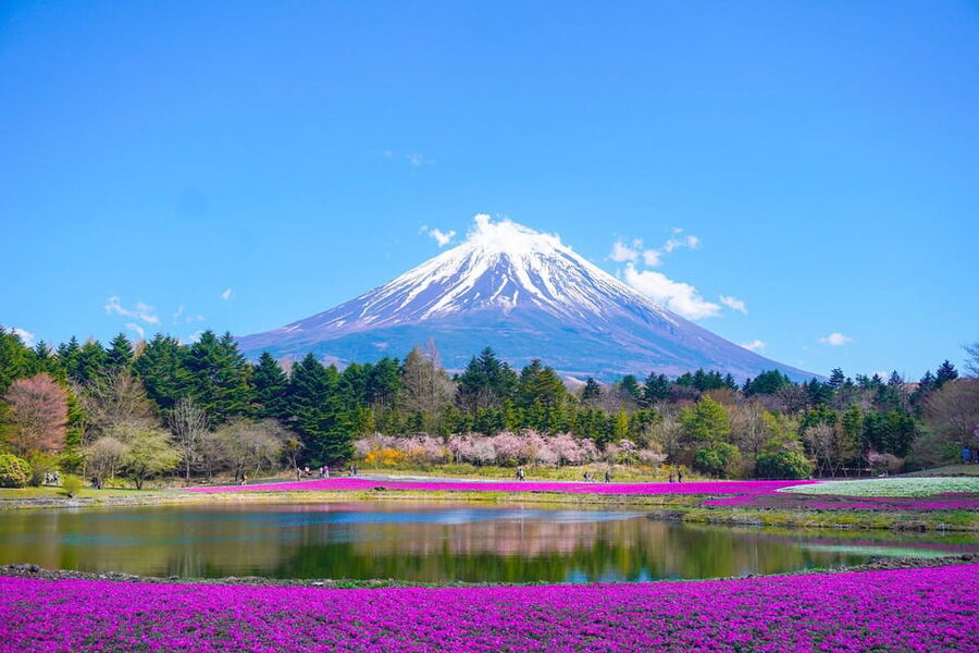 From Tokyo: Mount Fuji & Hakone Customize Private Day Tour - Kitaguchi Hongu Fuji Sengen Shrine: calm, shade, and meaning