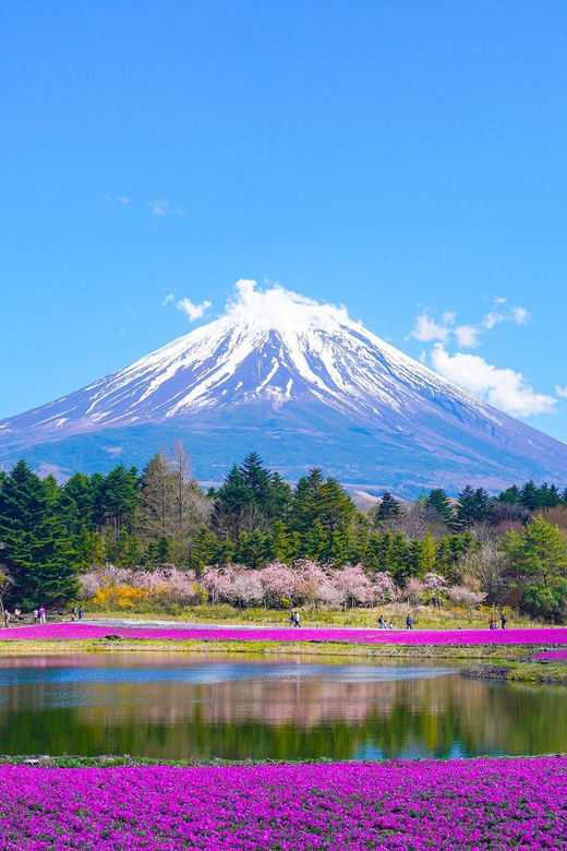 From Tokyo: Mount Fuji & Hakone Customize Private Day Tour - Lake Kawaguchiko, lunch choices, and the boat cruise moment