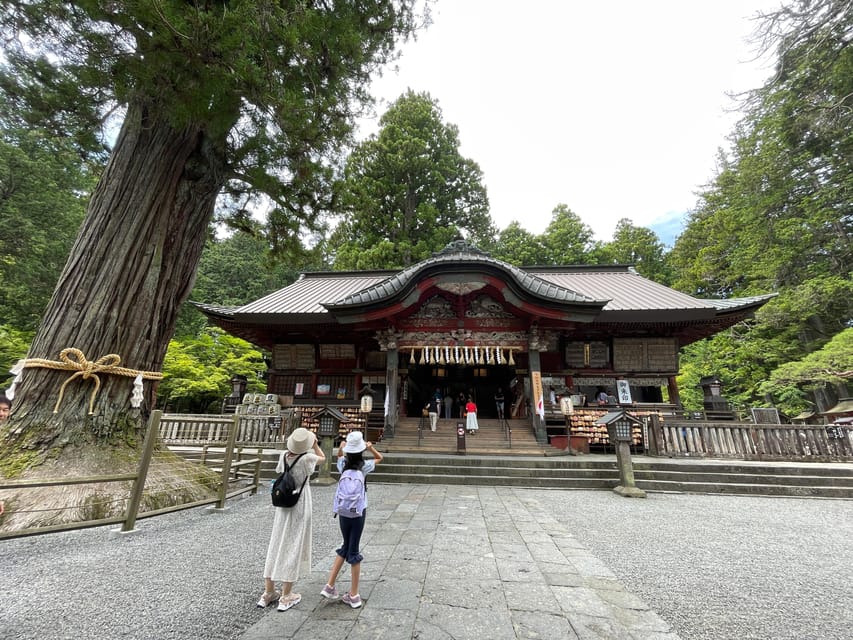 From Tokyo: Mount Fuji & Hakone Customize Private Day Tour - Mt. Kachi Kachi Ropeway and Oishi Park: viewpoints that work even when skies shift