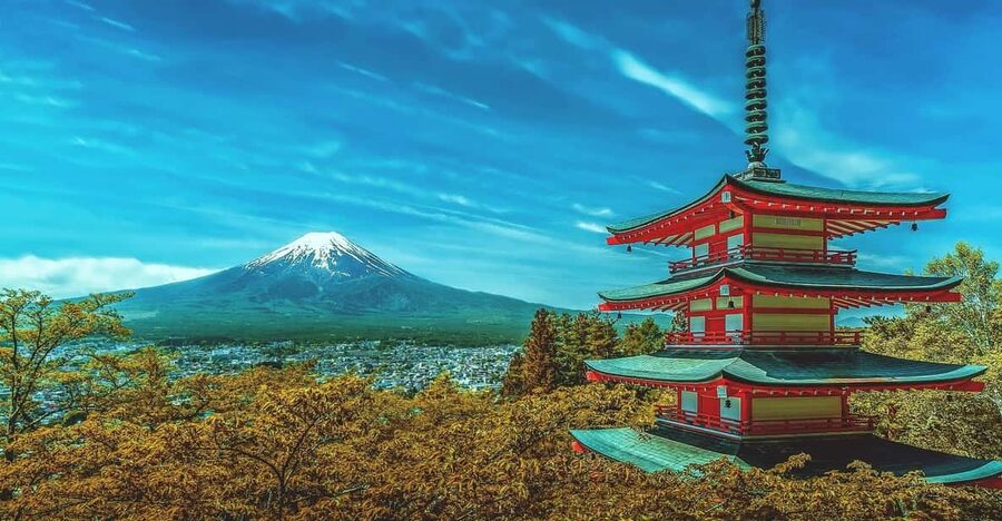 From Tokyo: Mount Fuji & Hakone Customize Private Day Tour - Transport and driver quality, the real deciding factor