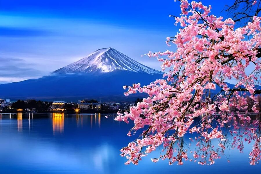 From Tokyo: Mount Fuji & Hakone Full Day Private Tour - Why this Tokyo-to-Fuji-and-Hakone private tour works