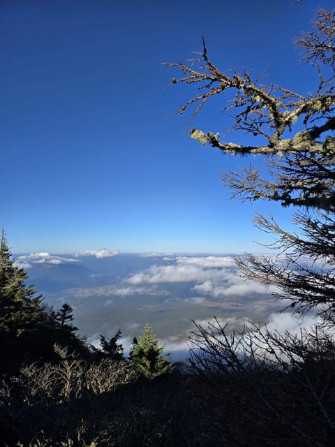 From Tokyo: Mount Fuji & Hakone Full Day Private Tour - Narusawa Ice Cave and the cool side of Fuji geology
