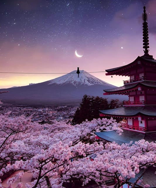 From Tokyo: Mount Fuji & Hakone Full Day Private Tour - Owakudani Valley: geothermal atmosphere you can feel