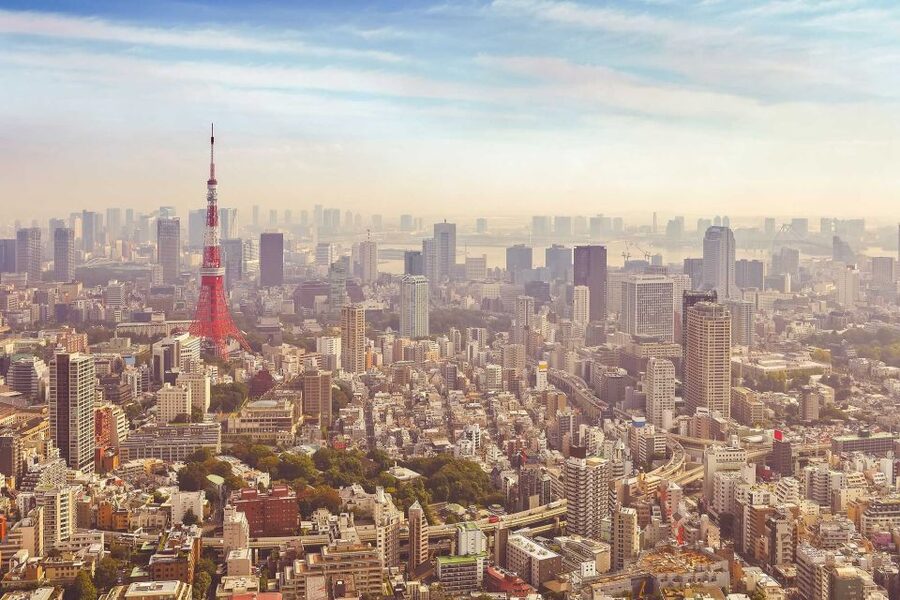 From Tokyo: Mount Fuji Private Day Tour - Quick hits on this Mount Fuji private day