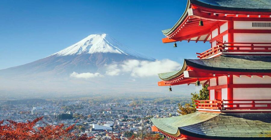 From Tokyo: Mount Fuji Private Day Tour - The big advantage: a private charter car that keeps your day usable