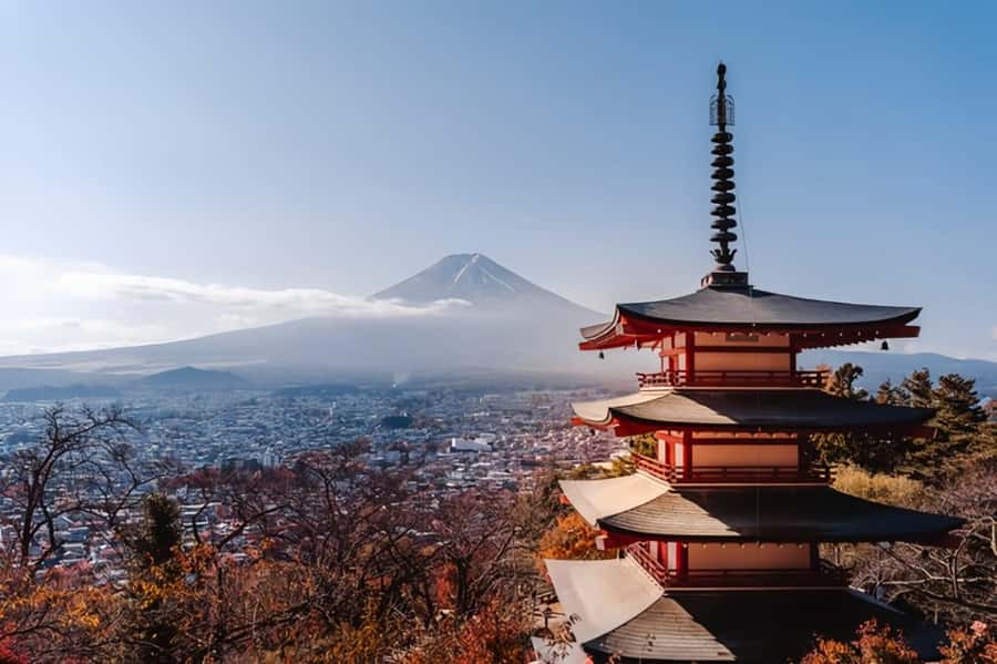 From Tokyo : Mount Fuji Private Day Tour with English Driver - Customizing the day without losing the plot