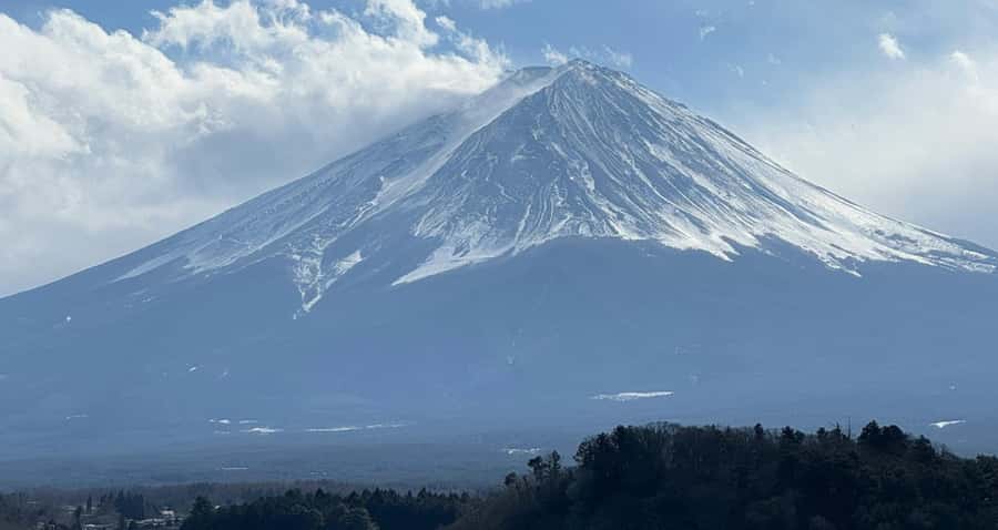 From Tokyo : Mount Fuji Private Day Tour with English Driver - When clouds hide Mt Fuji, this style still saves your day