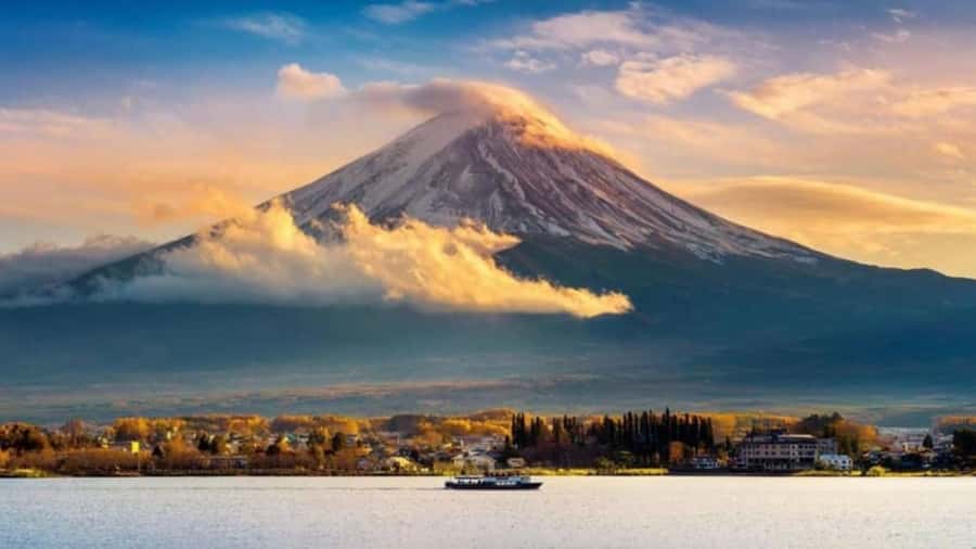 From Tokyo : Mount Fuji Private Day Tour with English Driver - Practical tips that make the day smoother